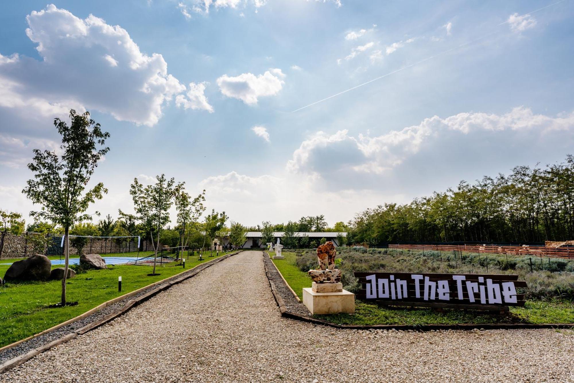 Отель The Tribe Alpaca Retreat Branesti Экстерьер фото