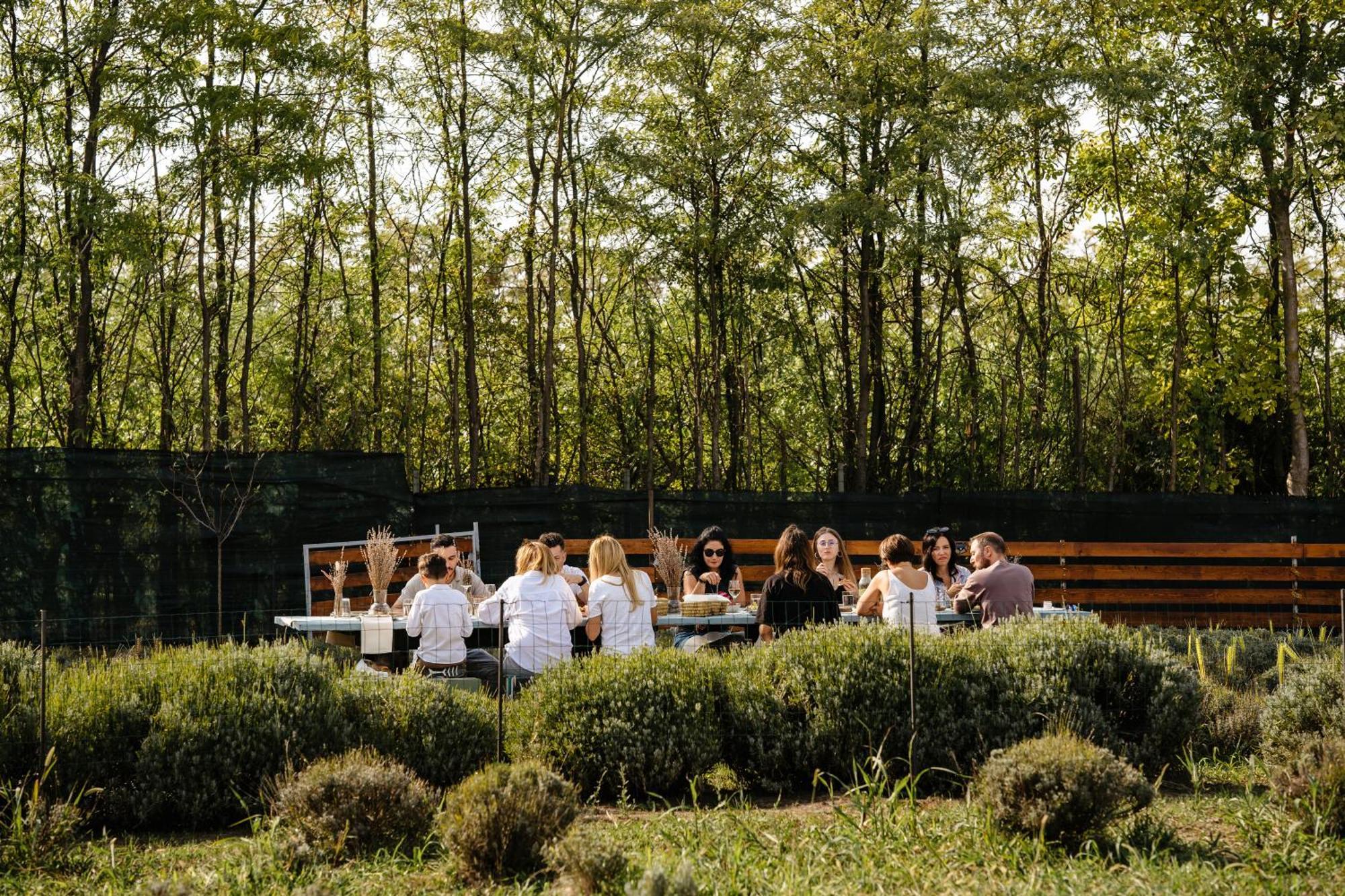 Отель The Tribe Alpaca Retreat Branesti Экстерьер фото